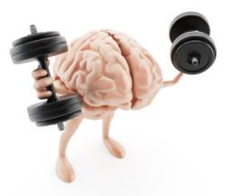 training the brain